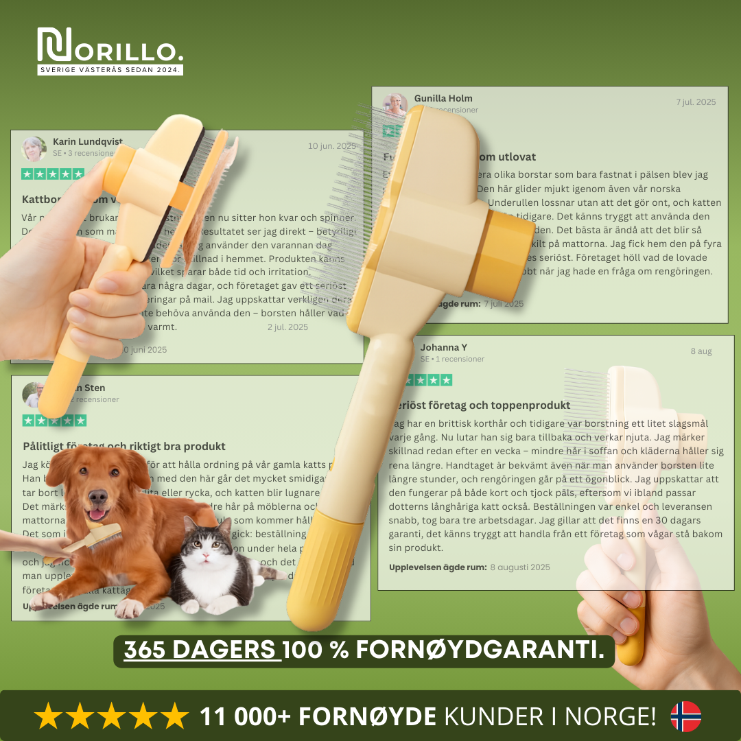 Norillo™ – Kattebørsten som stopper røyting og holder hjemmet rent
