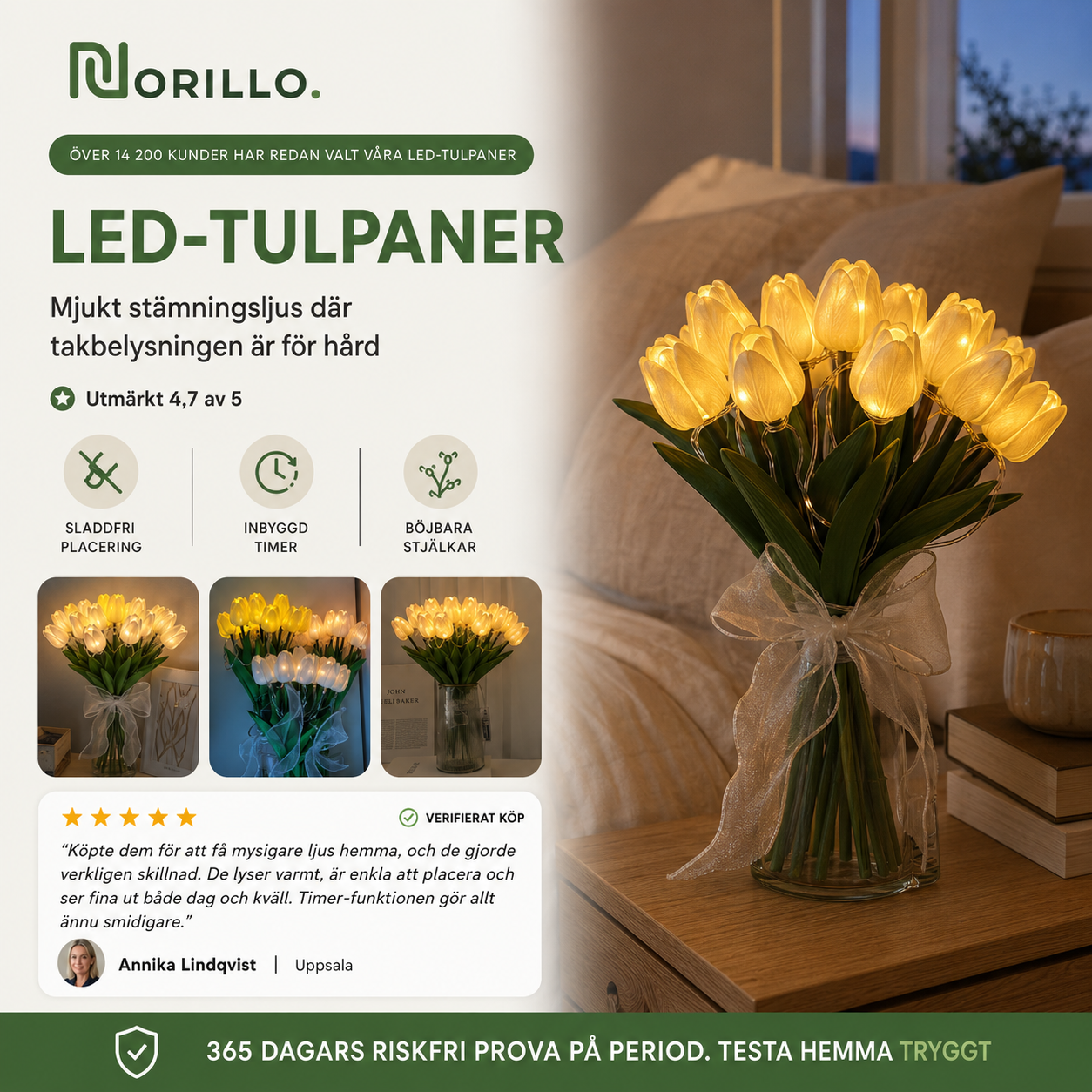 Norillo LED-tulipaner hvit