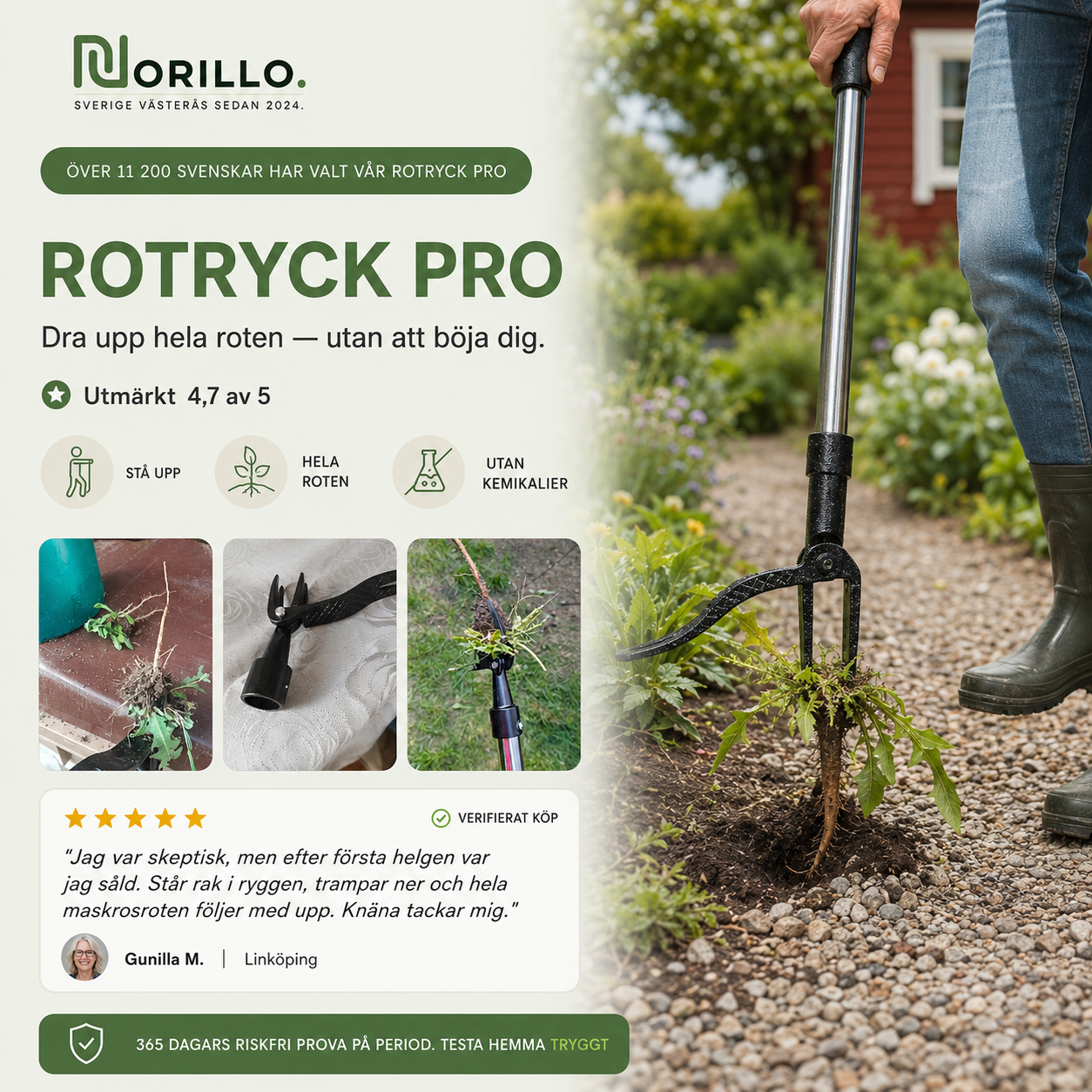 Norillo RotRyck Pro ugressfjerner