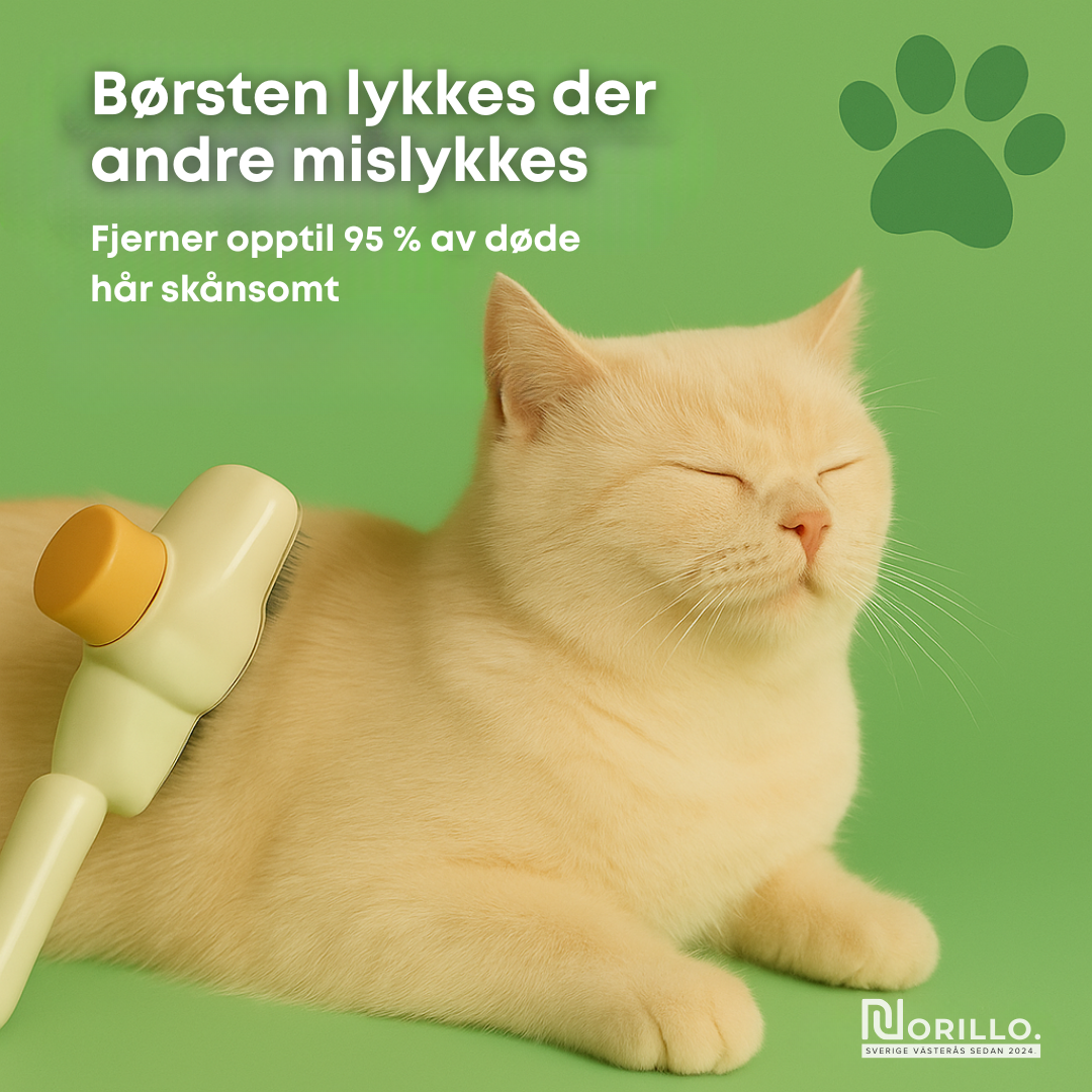 Norillo™ – Kattebørsten som stopper røyting og holder hjemmet rent