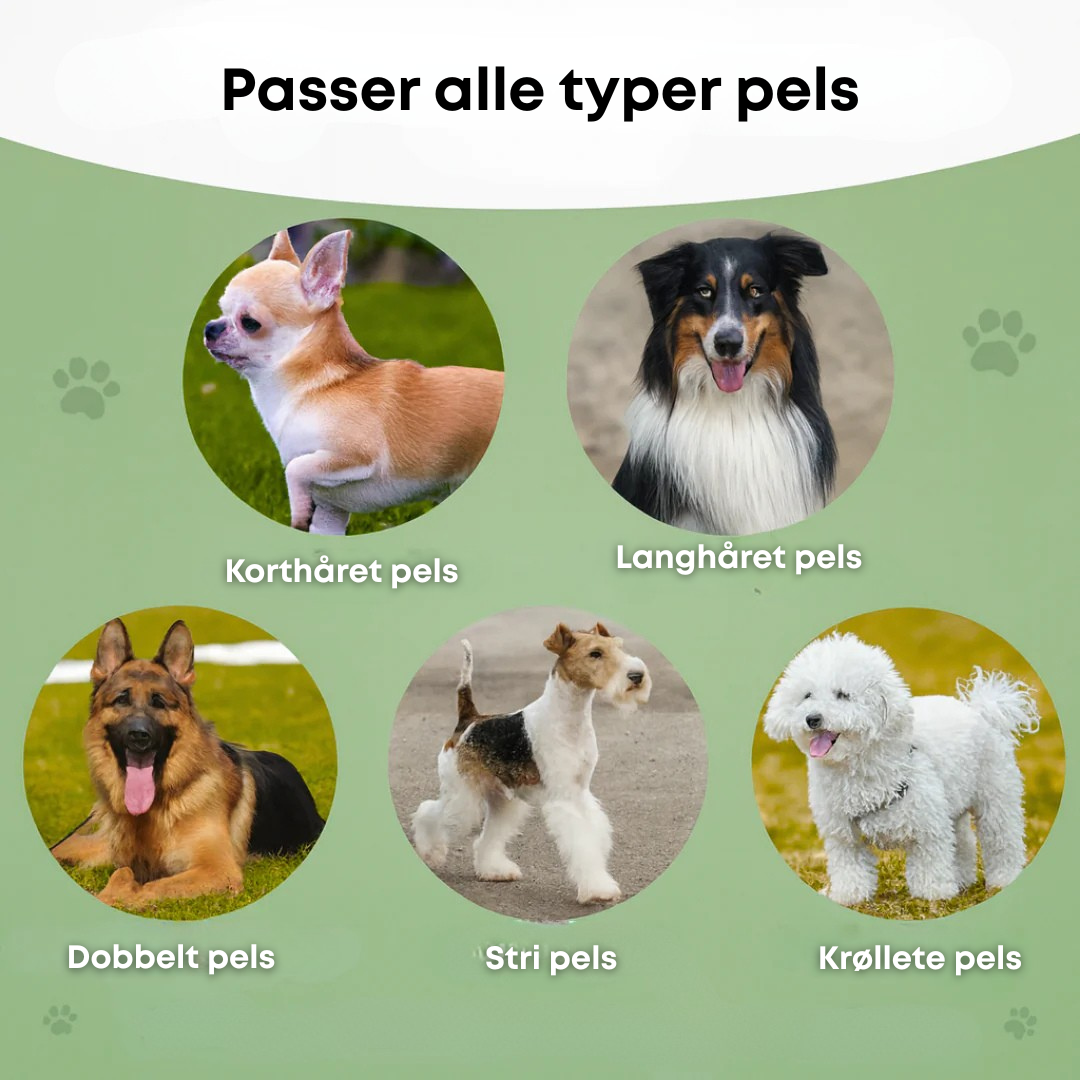 Norillo™ – Hundebørste som stopper røyting og holder hjemmet rent