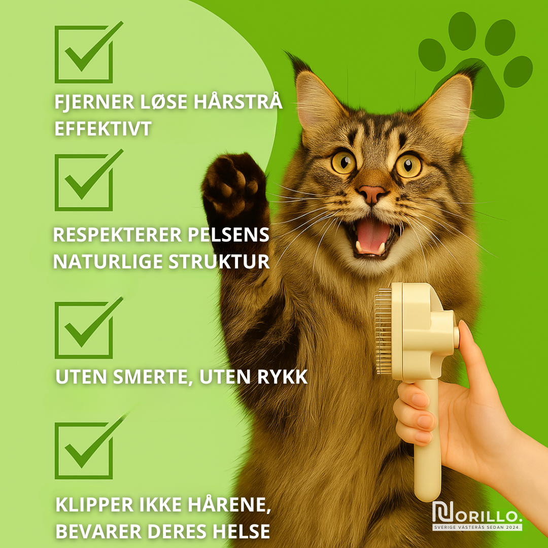 Norillo™ – Kattebørsten som stopper røyting og holder hjemmet rent