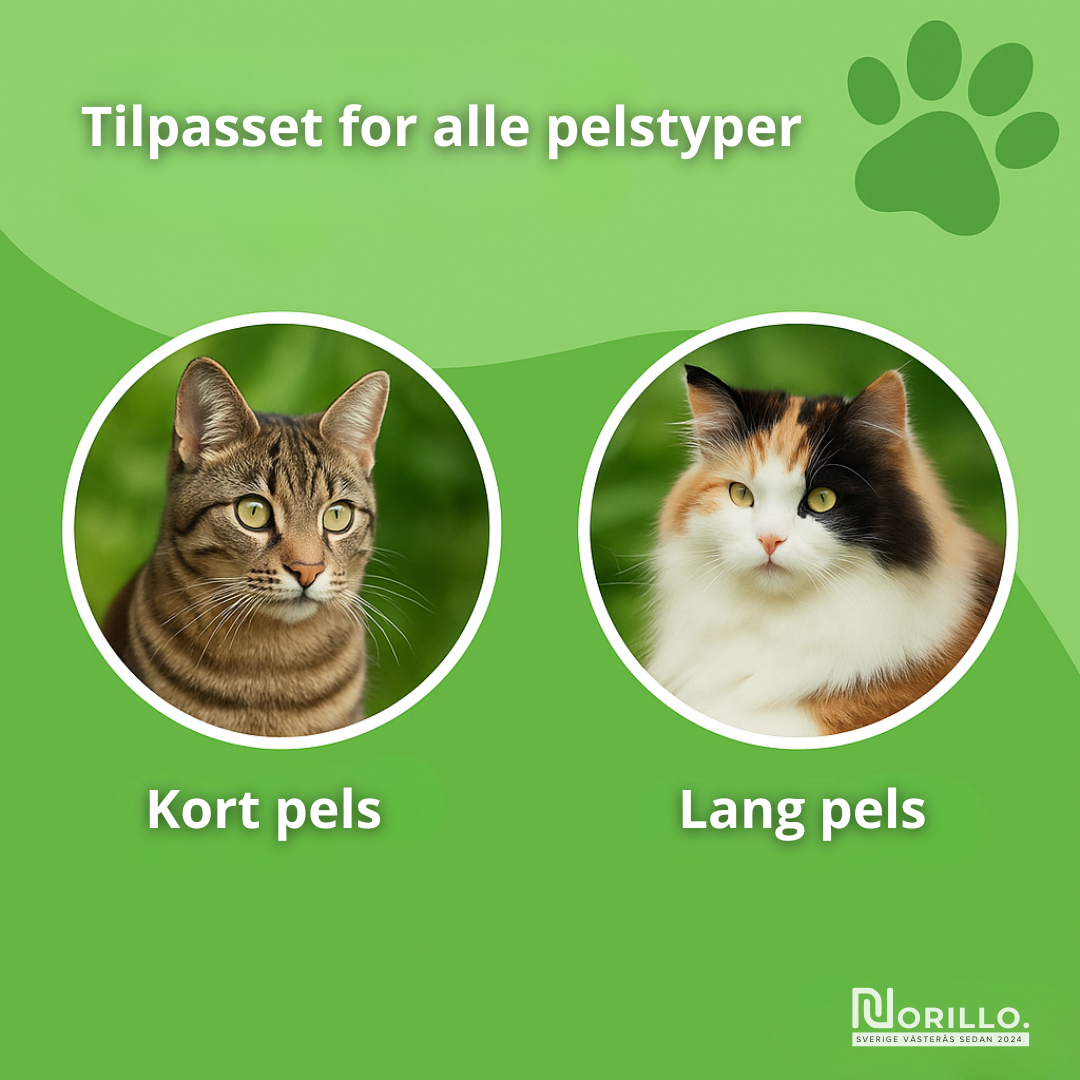 Norillo™ – Kattebørsten som stopper røyting og holder hjemmet rent