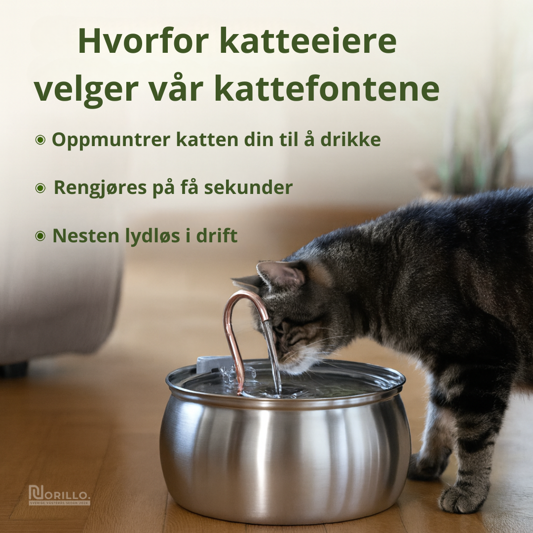 Norillo™ – Kattefontene i rustfritt stål som forebygger urinveisproblemer