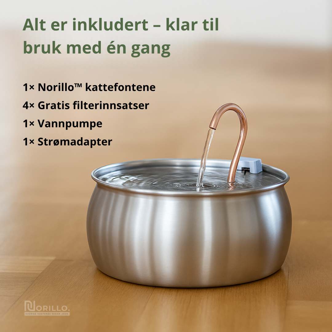 Norillo™ – Kattefontene i rustfritt stål som forebygger urinveisproblemer