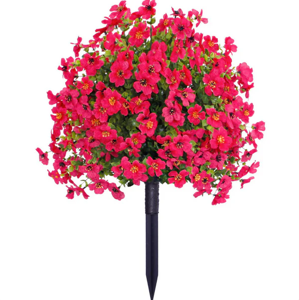 FloraLux Rosa/roed