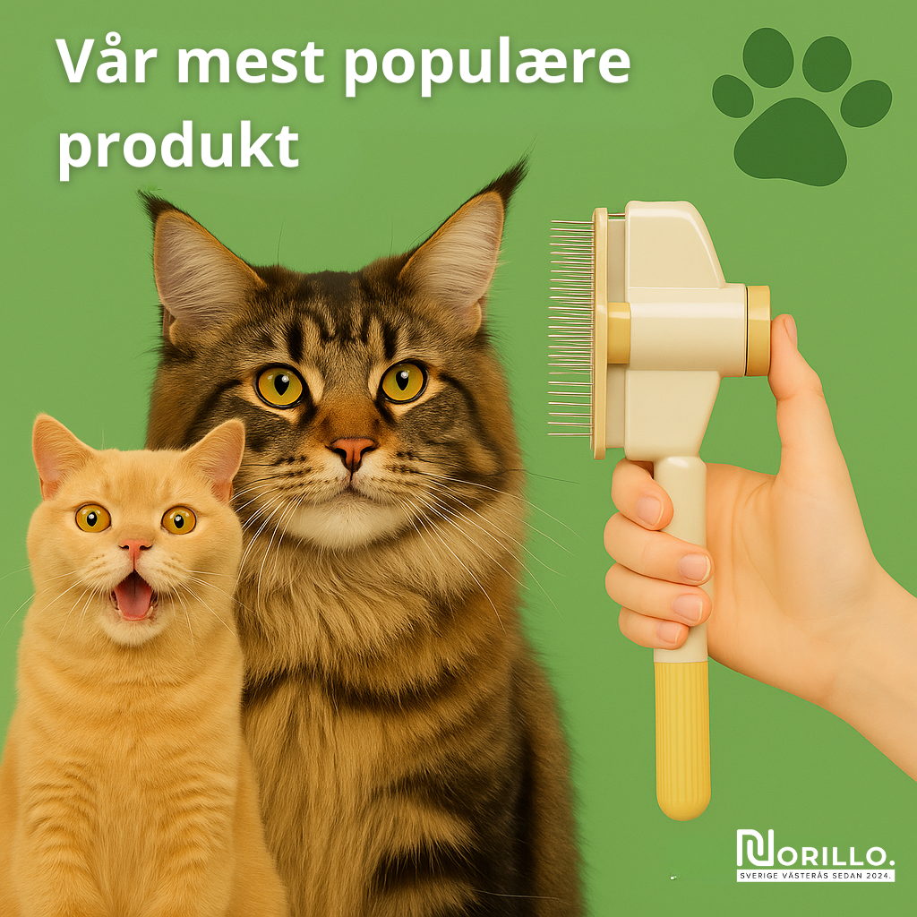 Norillo™ – Kattebørsten som stopper røyting og holder hjemmet rent