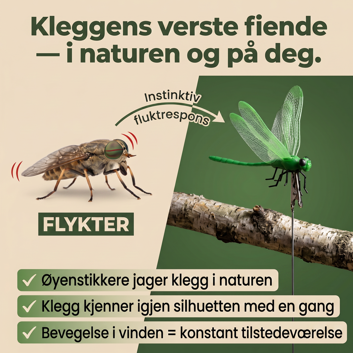 Norillo øyenstikker infografikk