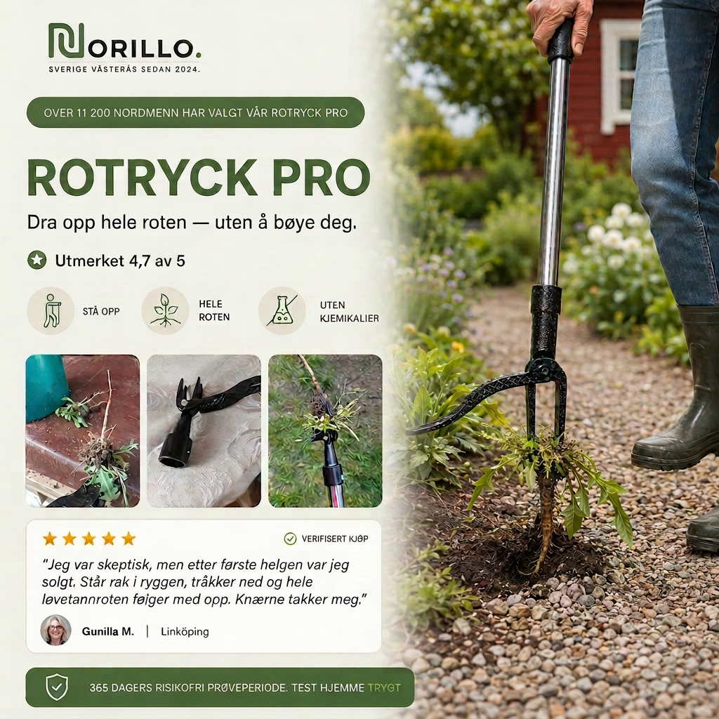 Over 11 200 nordmenn har valgt RotRyck Pro